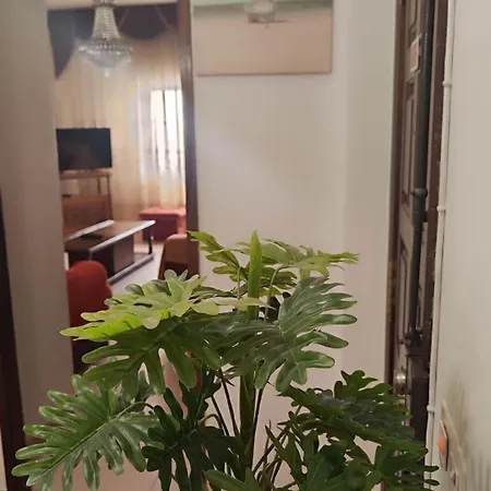 Cantinho Do Guadiana Terrace * Вила-Реал-ди-Санту-Антониу